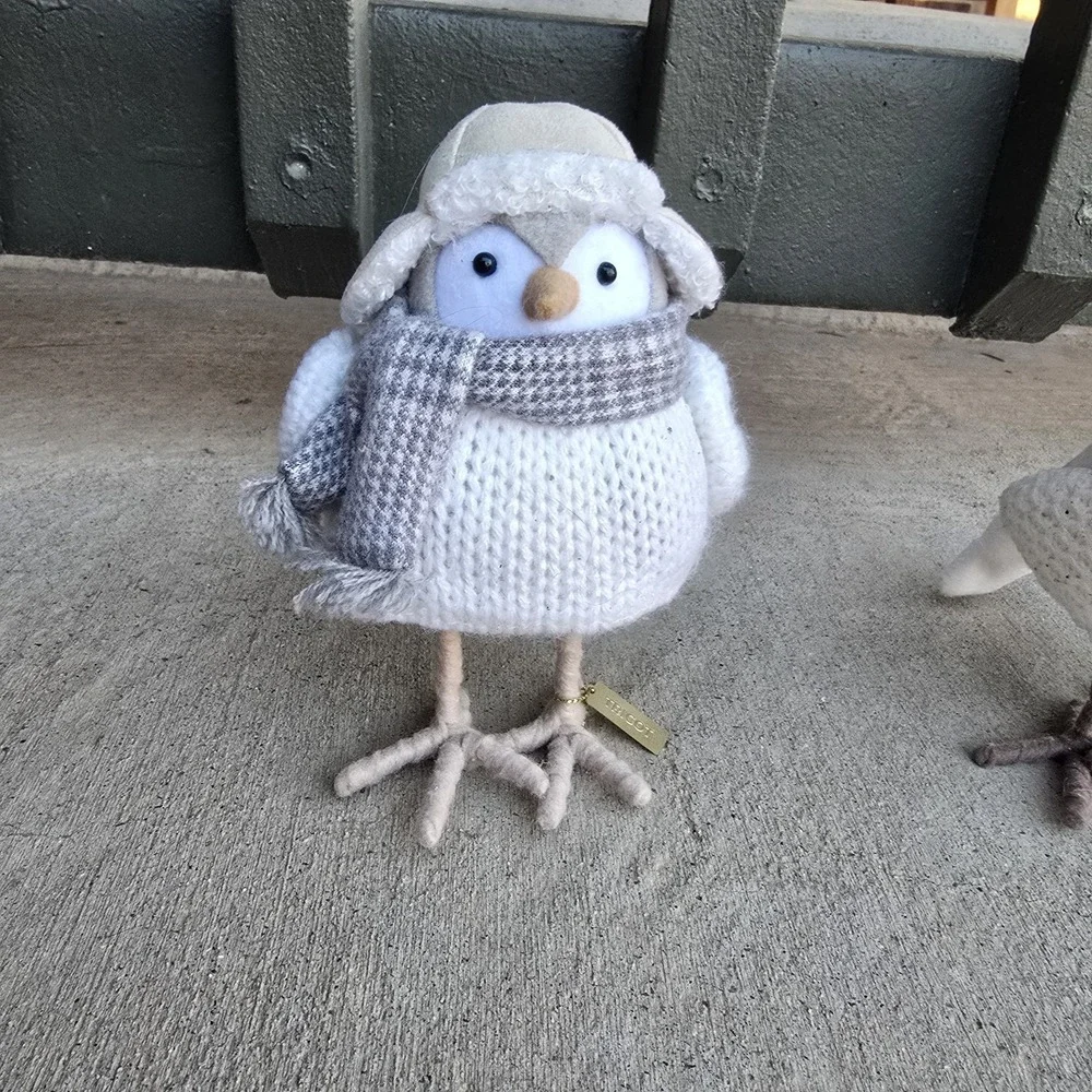 Lot of 4 Target Wondershop Winter Birds 2021/ 2022 Tricot,Flurry,Weft, Dewey,